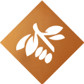 Image module
