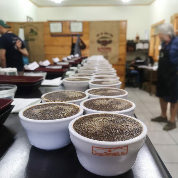 Coffee tasting in Costa Rica