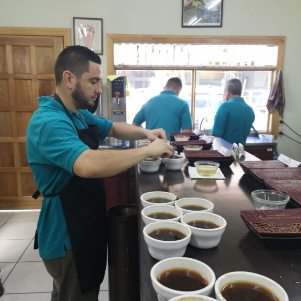 Coffee tasting in Costa Rica