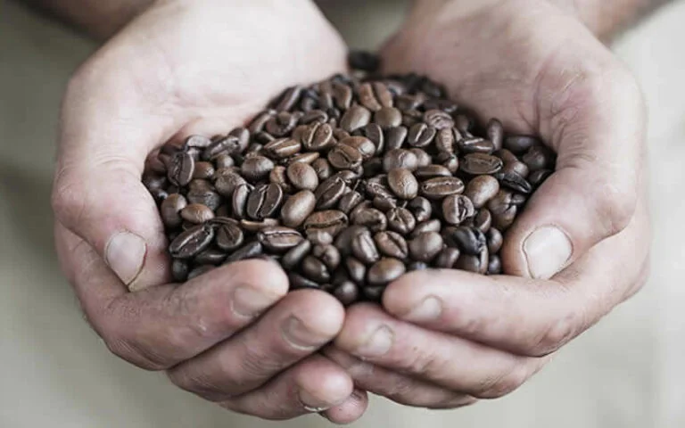 Two hands holding Java Republic premium, hand-roasted coffee