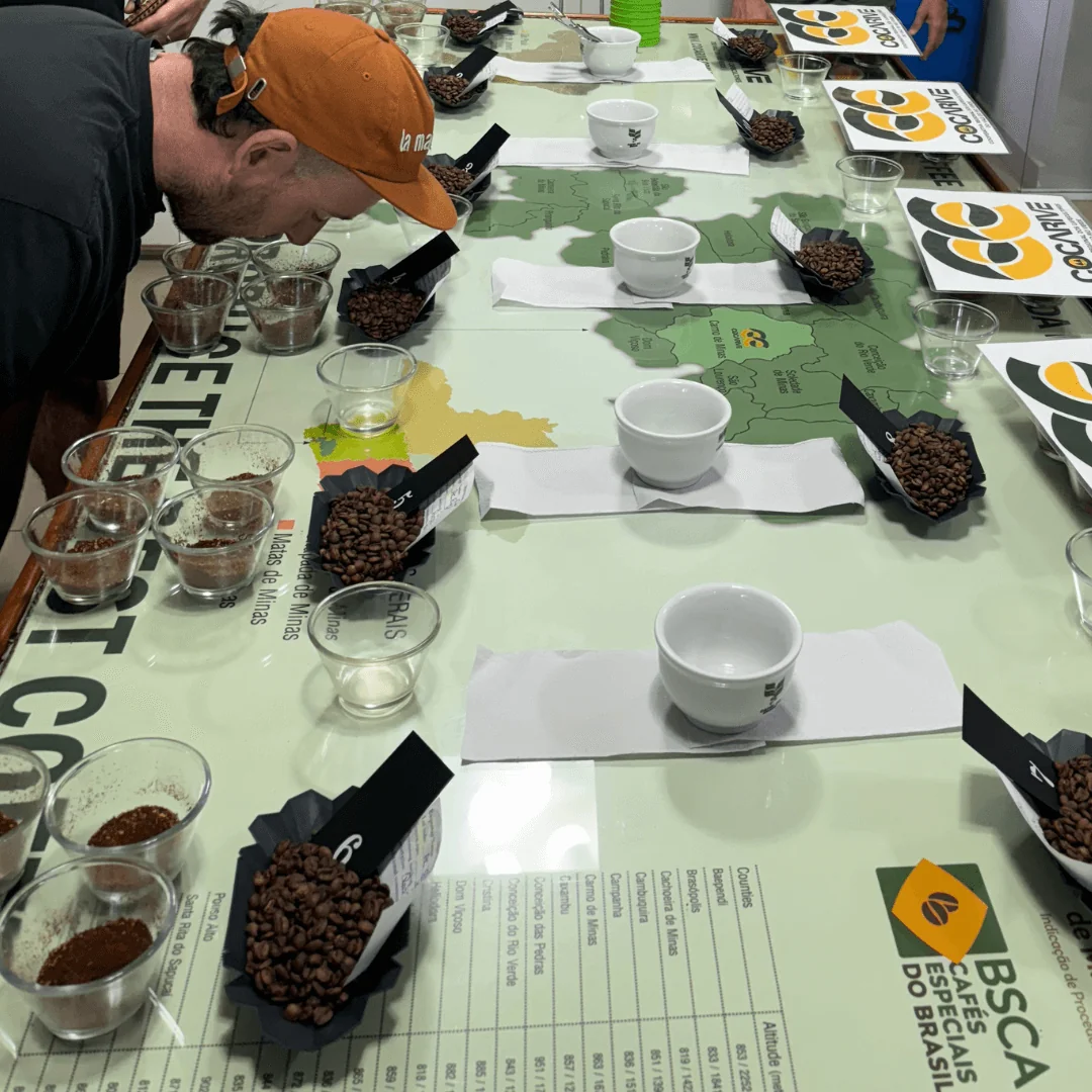 Getting the aromas during the coffee cupping session