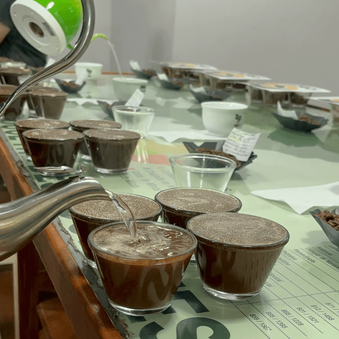 Hot water being poured for coffee cupping session