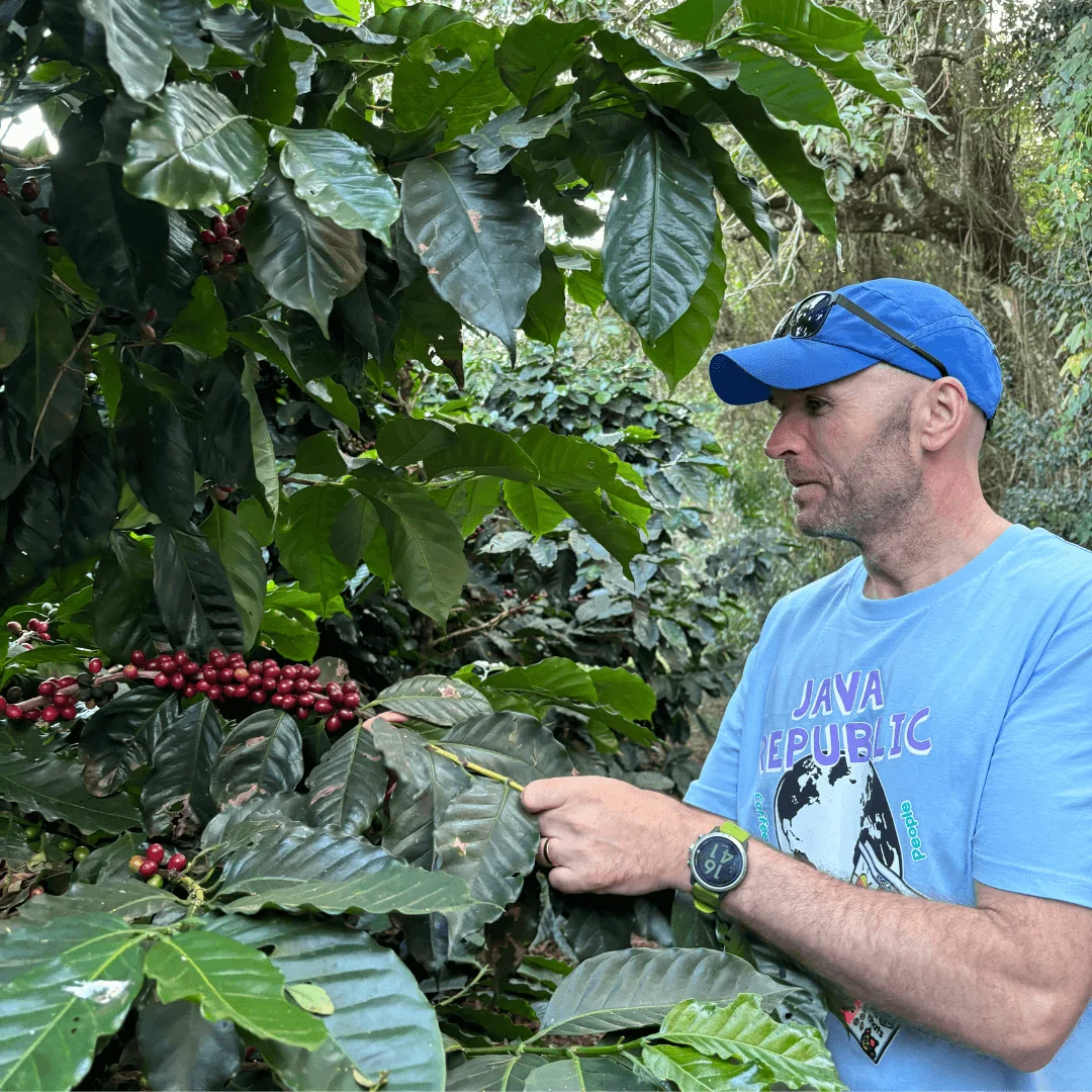 Hugh McNamee picking coffee cherries on Brazil Origin Trip