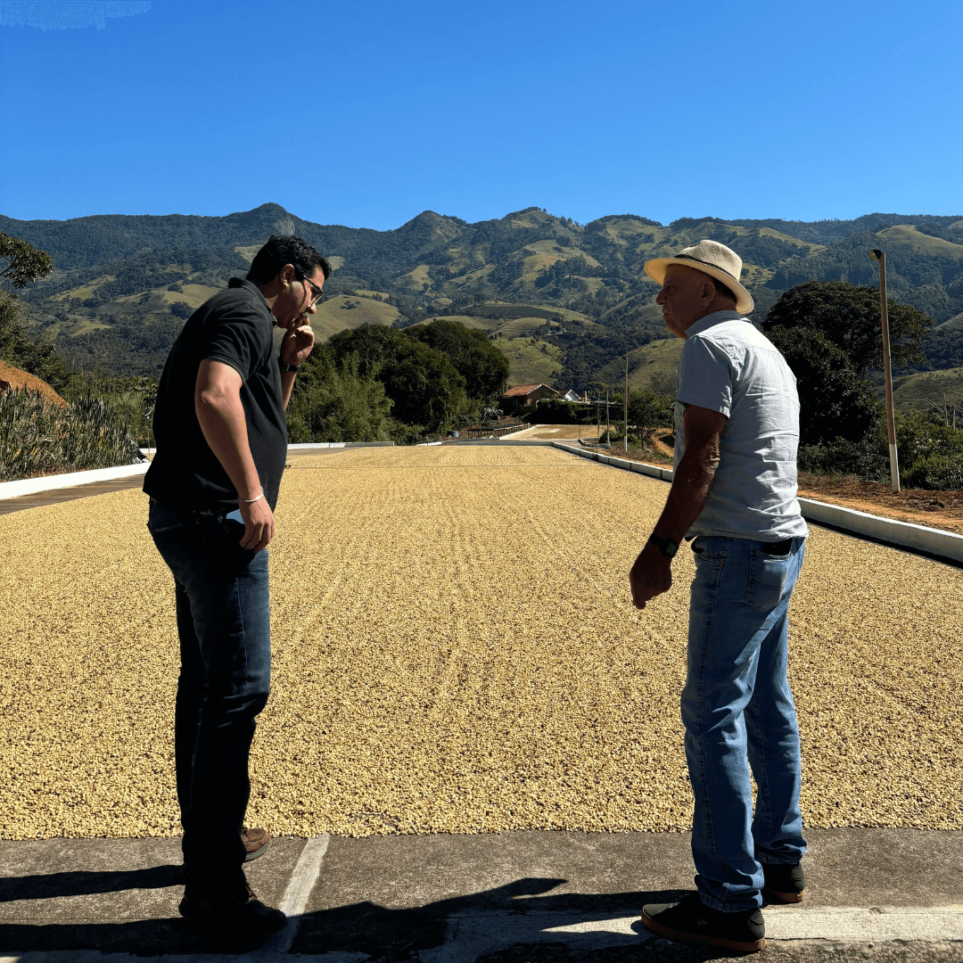 Two farmers at origin looking at their crop