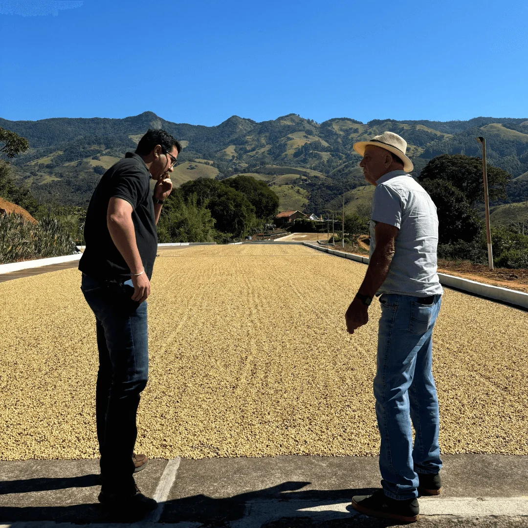 Two farmers at origin looking at their crop