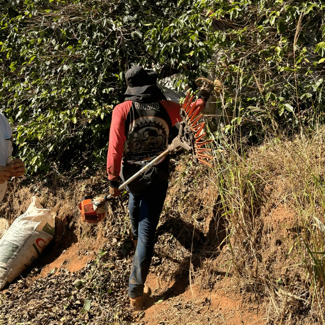 Farm worker at Palmital going to handpick coffee cherries during our Brazil Coffee Origin Trip