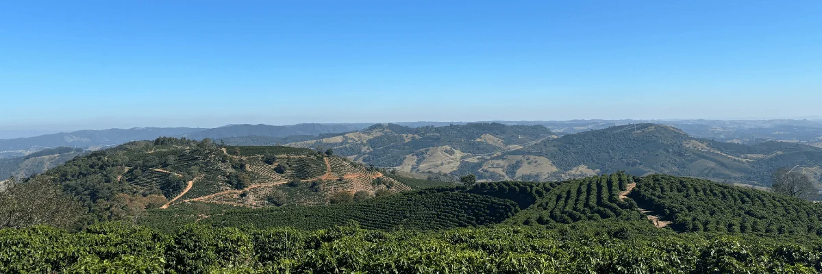 Landscape of Palmital during our Origin Trip to Brazil